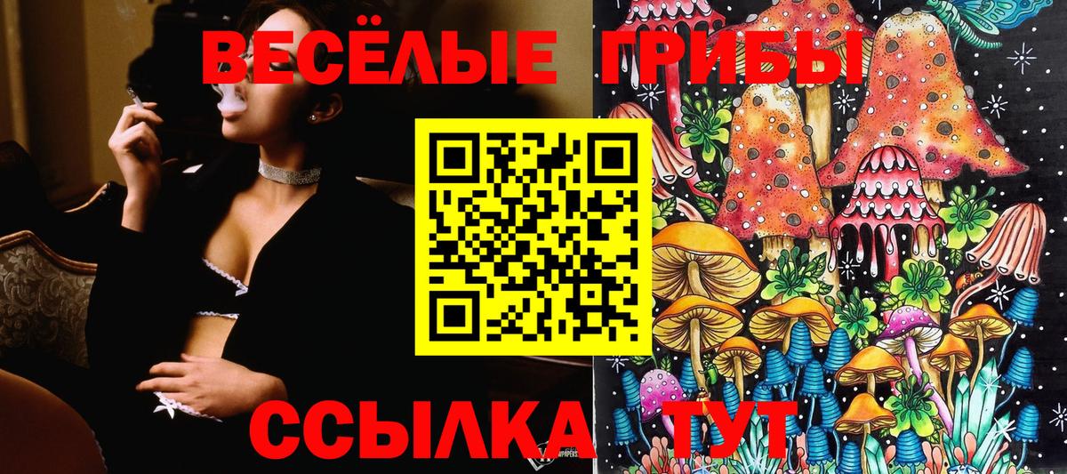 Псилоцибиновые грибы мухоморы Мценск